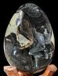 Septarian Dragon Egg Geode - Crystal Filled #40900-1